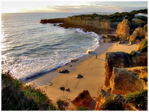 Villas King'S Albufeira Eksteriør billede